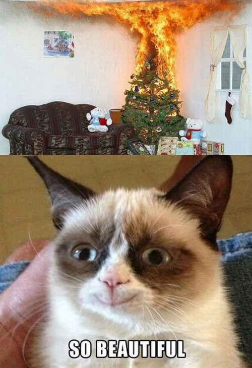 hornoxe.com_picdump289_057