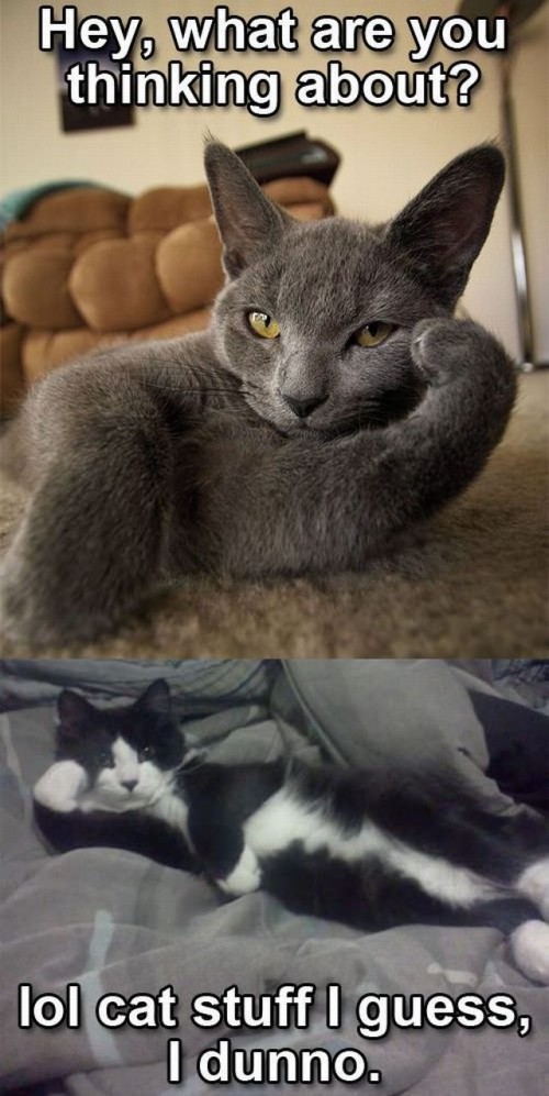 hornoxe.com_picdump289_059