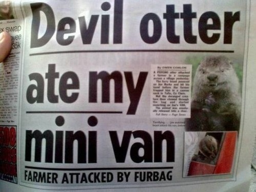 hornoxe.com_picdump289_076