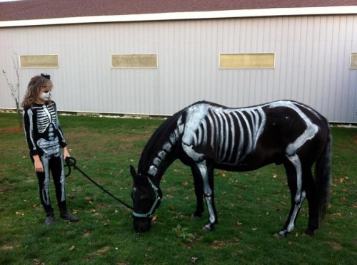 hornoxe.com_picdump289_079