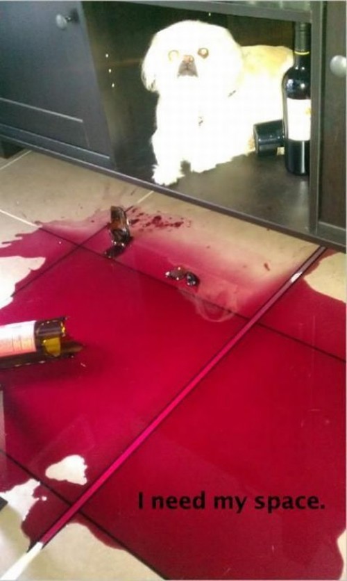 hornoxe.com_picdump289_124