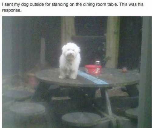 hornoxe.com_picdump289_126