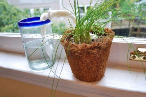 hornoxe.com_picdump289_130