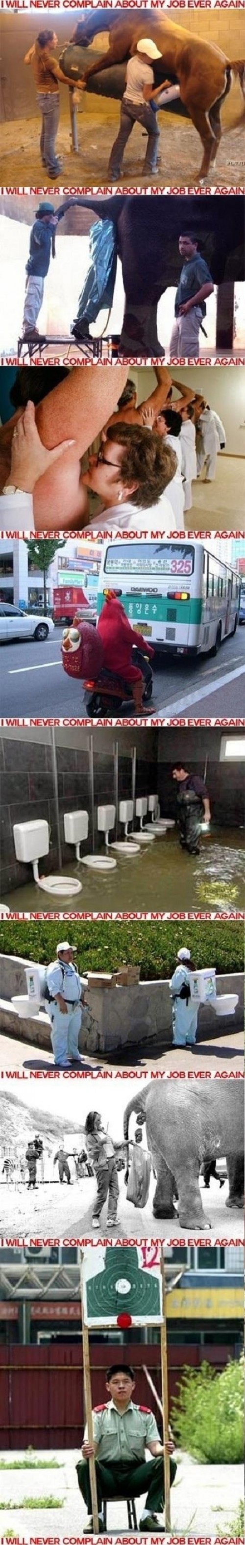 hornoxe.com_picdump289_135