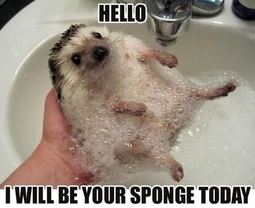 hornoxe.com_picdump289_145