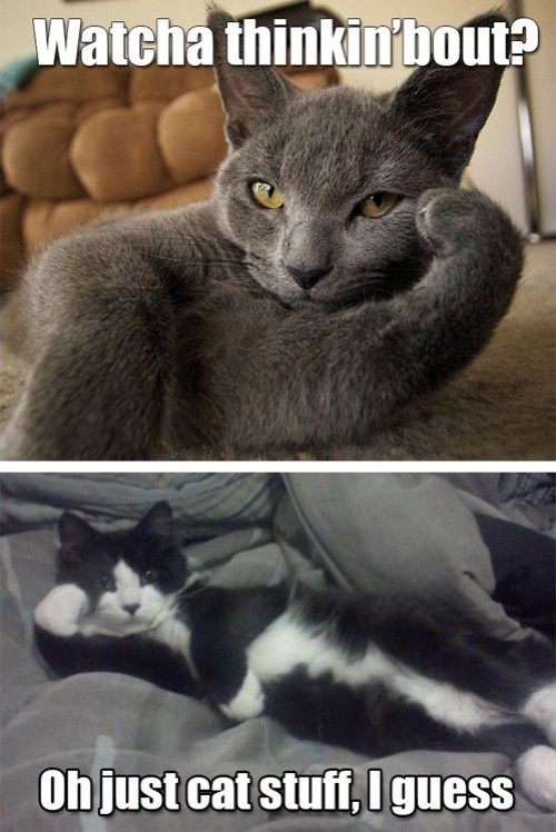 hornoxe.com_picdump289_149