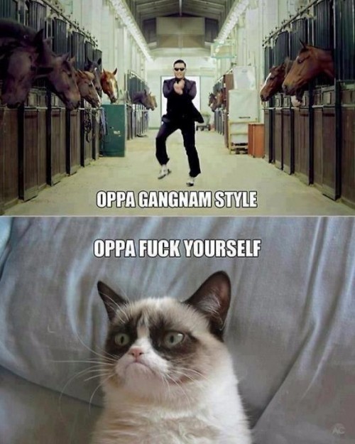 hornoxe.com_picdump290_007