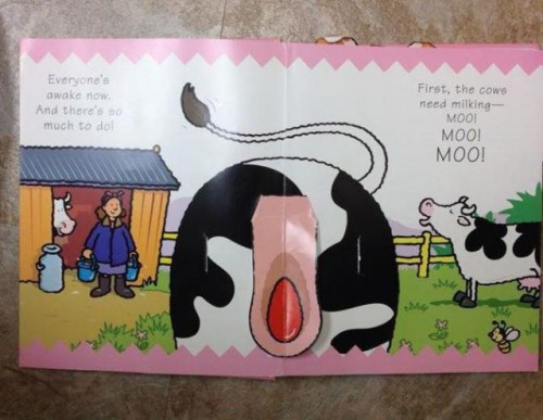 hornoxe.com_picdump290_014