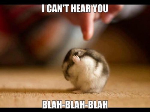 hornoxe.com_picdump290_025