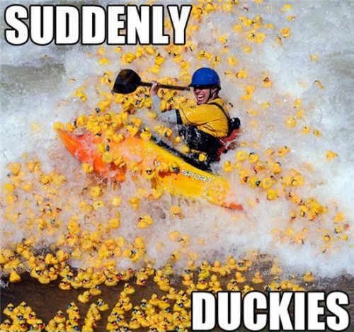 hornoxe.com_picdump290_049