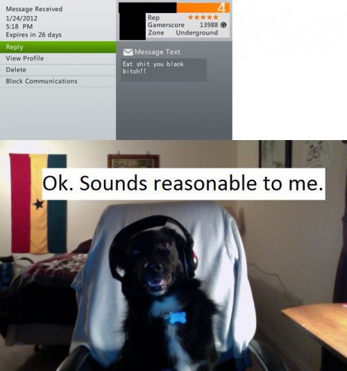 hornoxe.com_picdump290_098