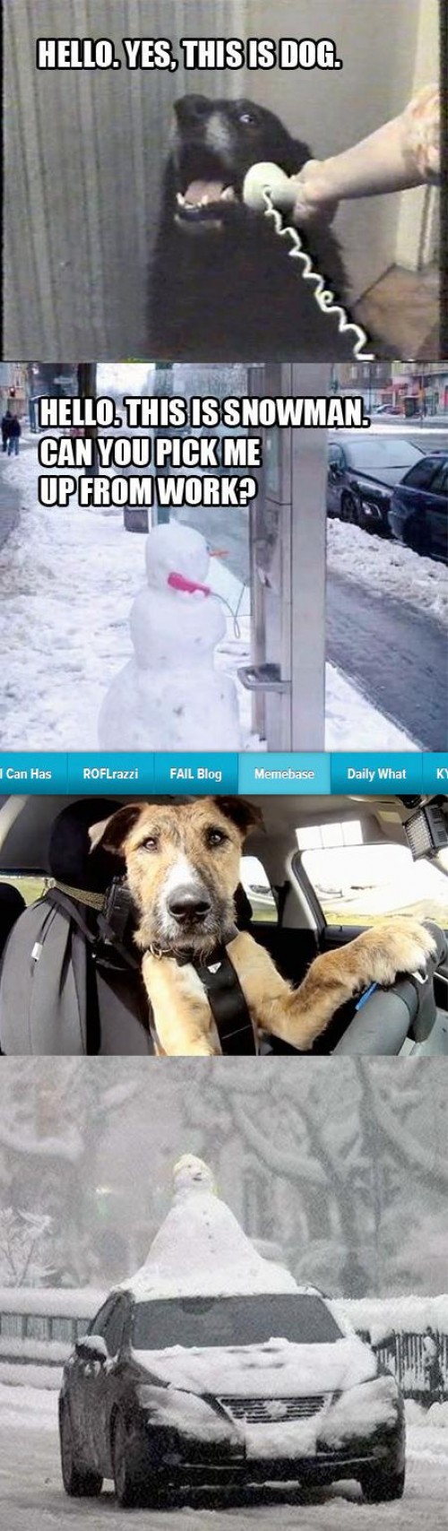 hornoxe.com_picdump290_102