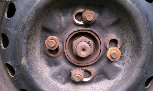 hornoxe.com_picdump290_129