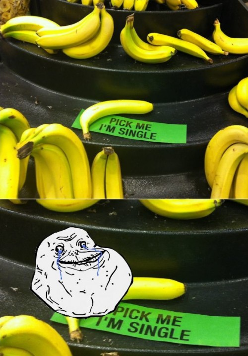 hornoxe.com_picdump290_162