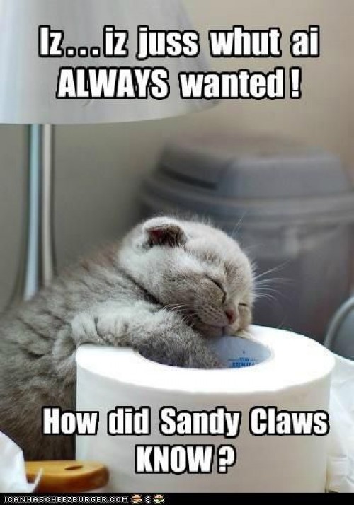 hornoxe.com_picdump290_181