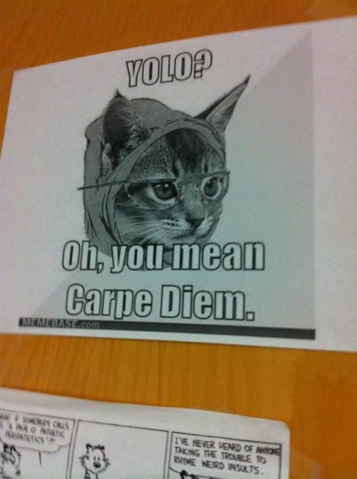 hornoxe.com_picdump290_198