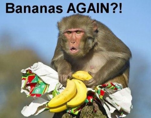 hornoxe.com_picdump291_053