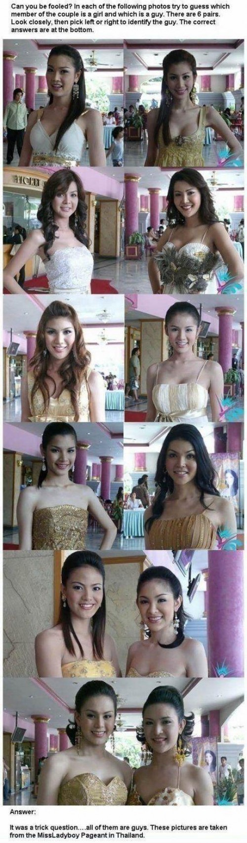 hornoxe.com_picdump291_092