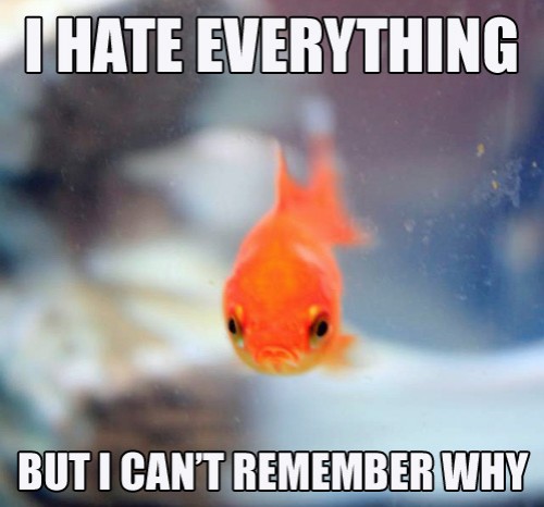 hornoxe.com_picdump291_111