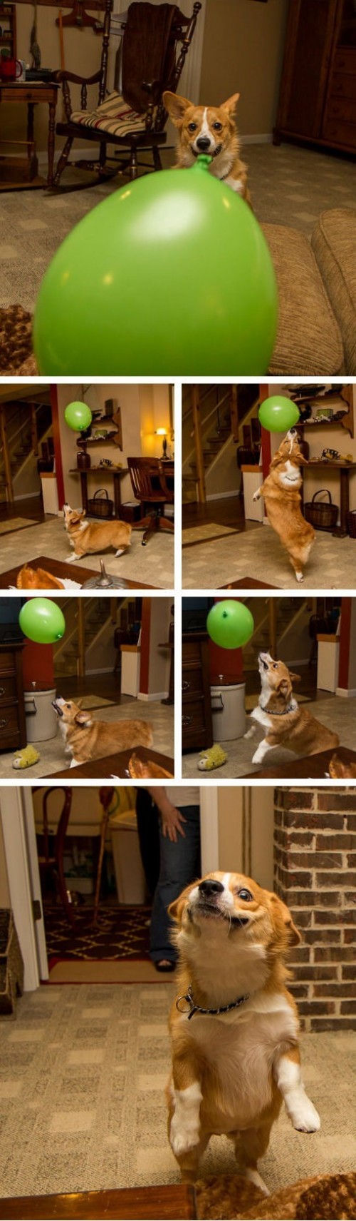 hornoxe.com_picdump292_033