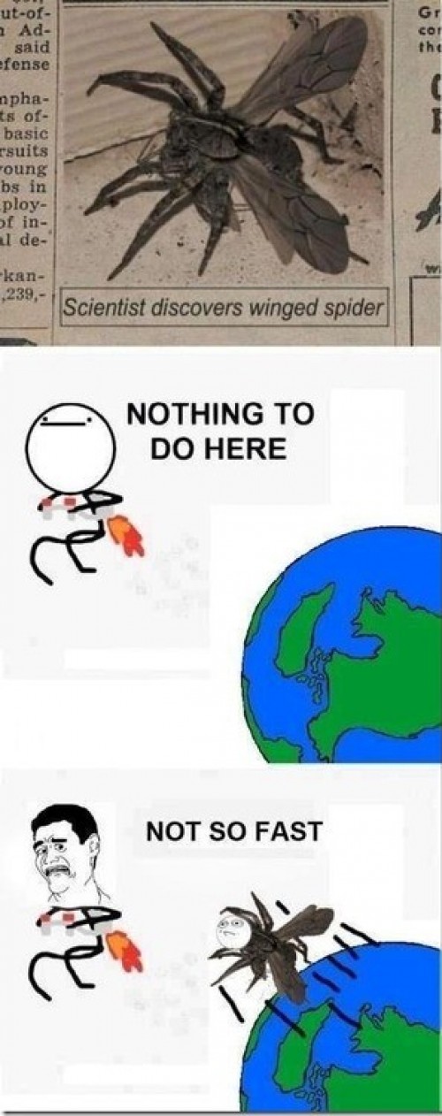 hornoxe.com_picdump292_049