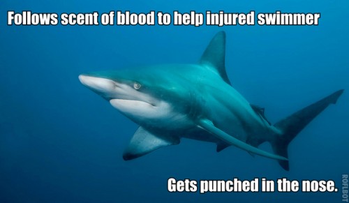 hornoxe.com_picdump292_052