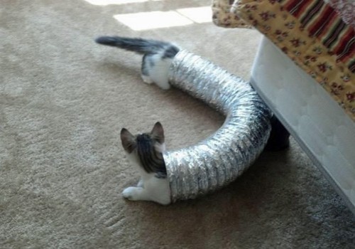 hornoxe.com_picdump292_092