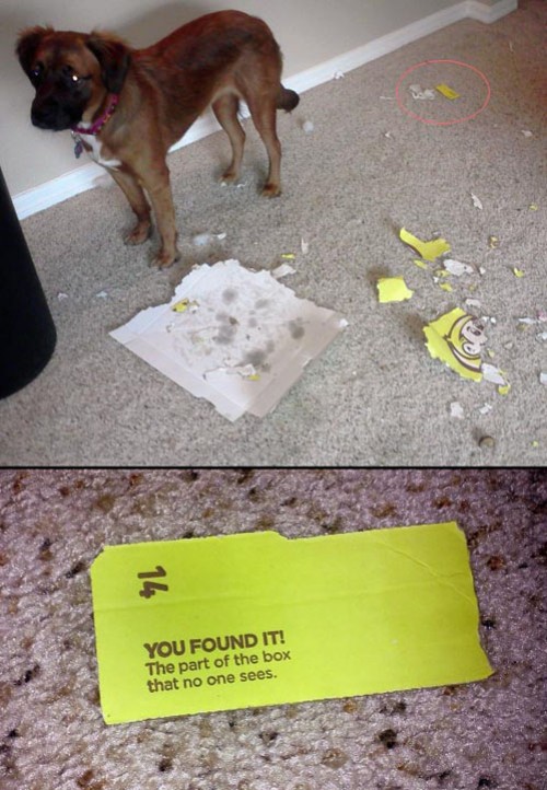 hornoxe.com_picdump292_097