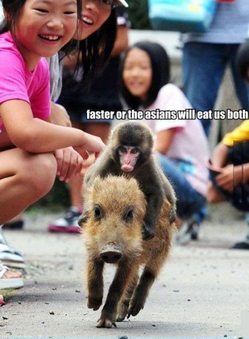 hornoxe.com_picdump292_103