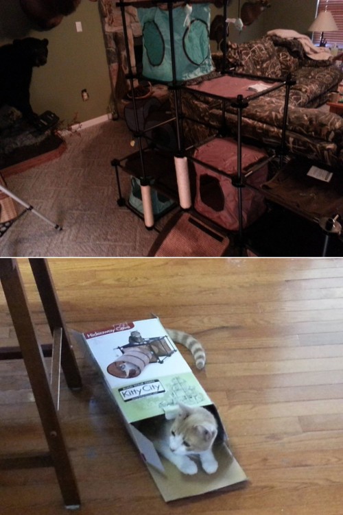 hornoxe.com_picdump293_011