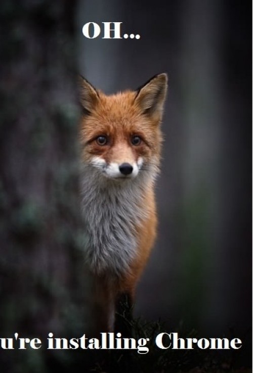 hornoxe.com_picdump293_022