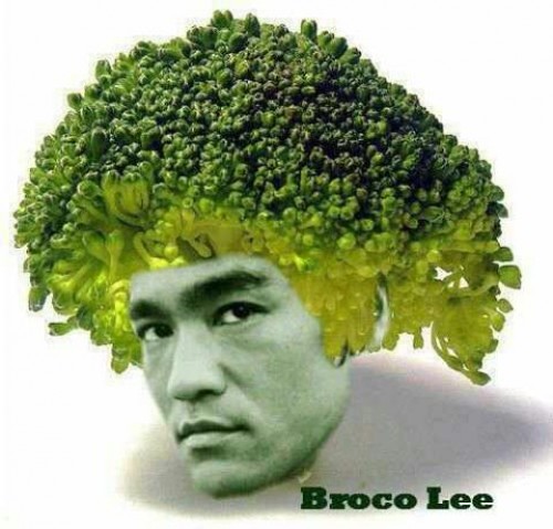 hornoxe.com_picdump293_044