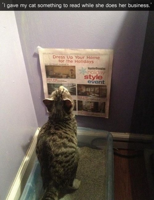 hornoxe.com_picdump293_075