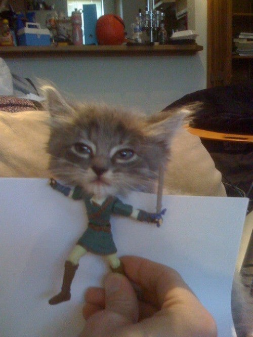 hornoxe.com_picdump293_085