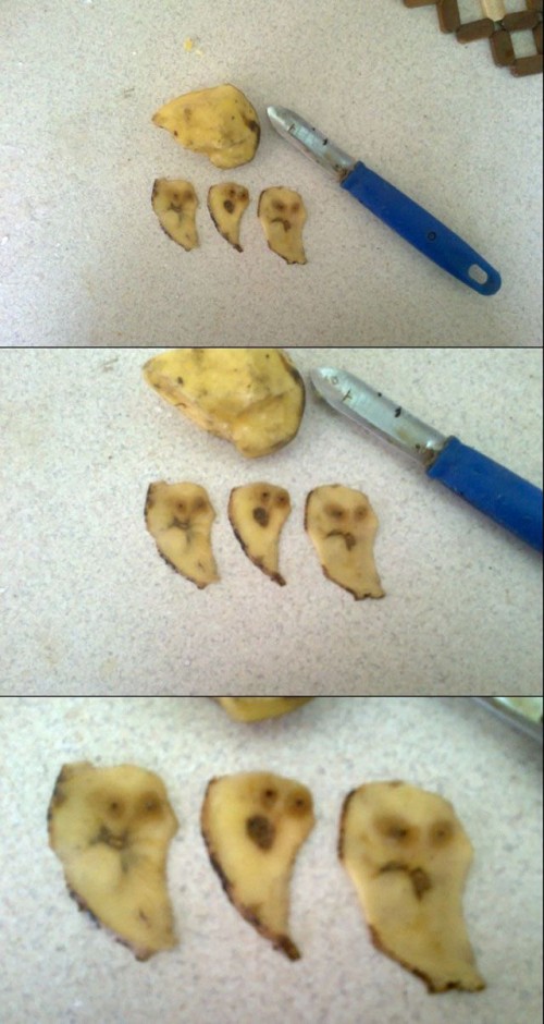 hornoxe.com_picdump293_098