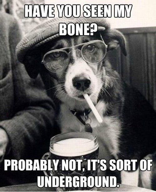 hornoxe.com_picdump293_113