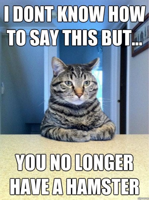 hornoxe.com_picdump293_123