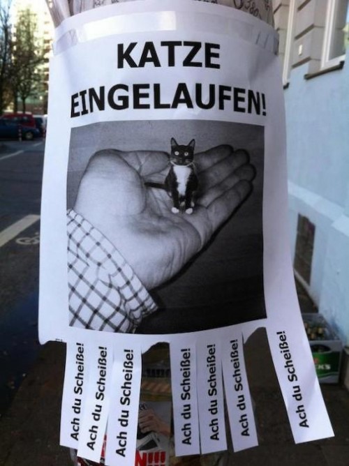 hornoxe.com_picdump293_150