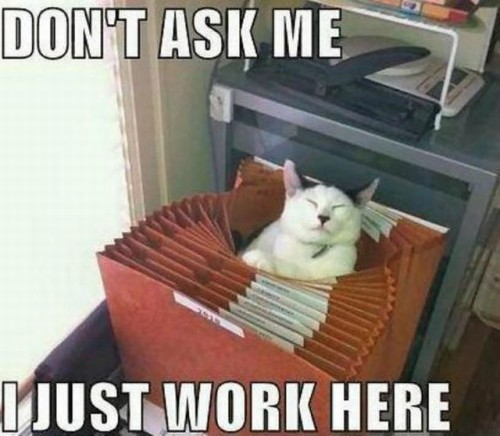 hornoxe.com_picdump293_161