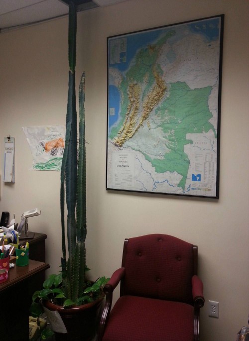 hornoxe.com_picdump293_174