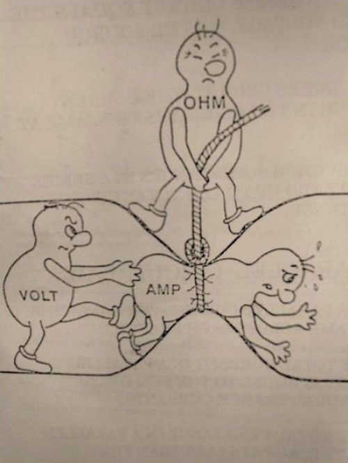 hornoxe.com_picdump293_184