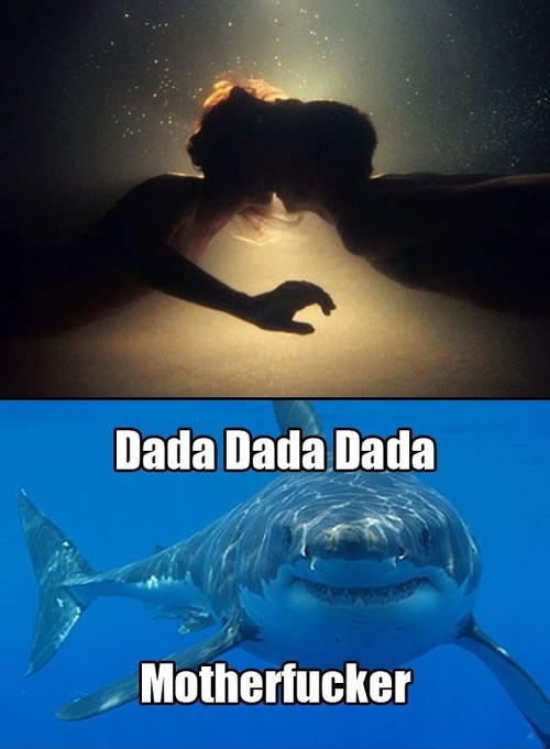 hornoxe.com_picdump293_192