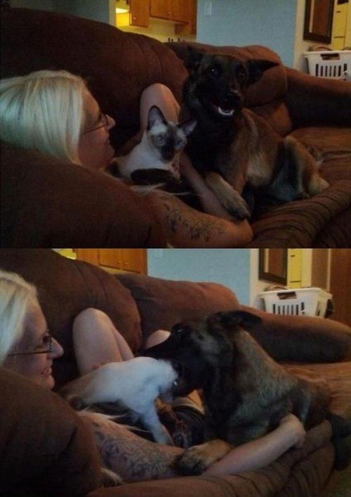 hornoxe.com_picdump293_203