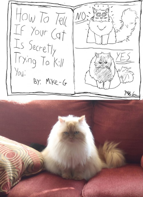 hornoxe.com_picdump294_003