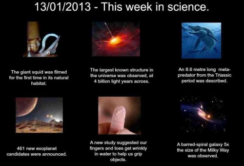 hornoxe.com_picdump294_043