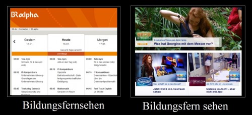 hornoxe.com_picdump294_055