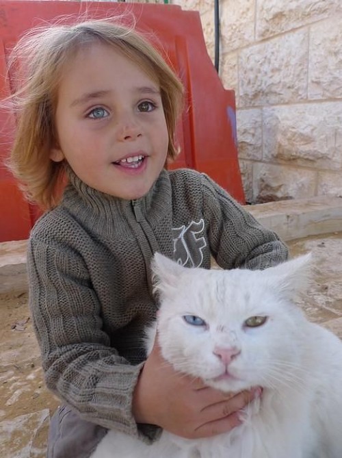 hornoxe.com_picdump294_089