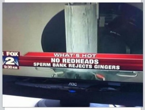 hornoxe.com_picdump294_104