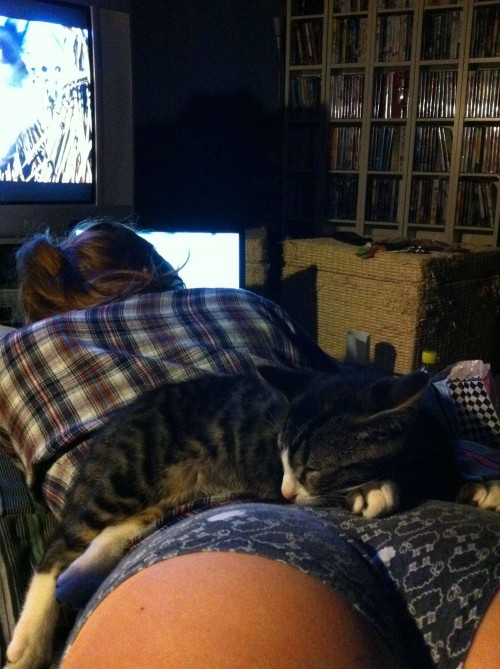 hornoxe.com_picdump294_109