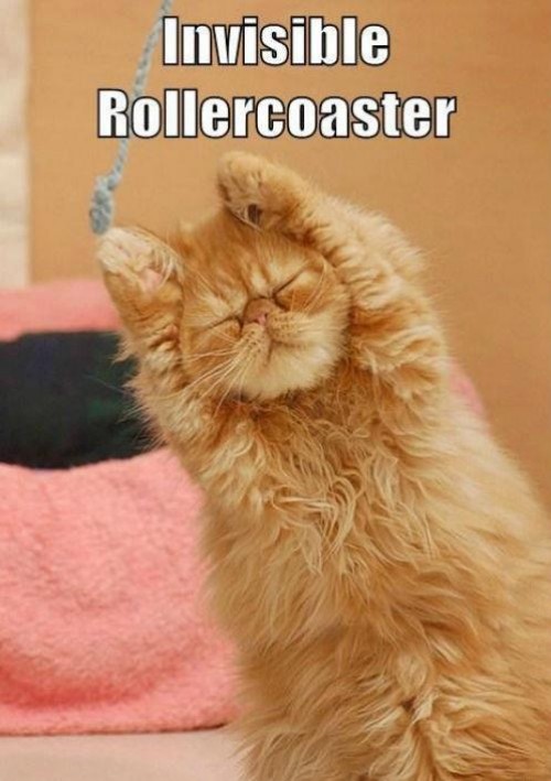 hornoxe.com_picdump294_185